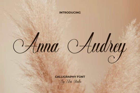 Anna Audrey Font: Sweet & Stylish