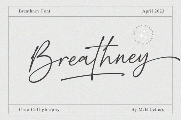 Beautiful Handwritten Font for Business