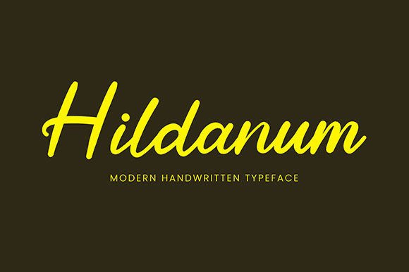 Hildanum: A Charming Script Font